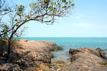 Image showing Beach with big stones and a tree