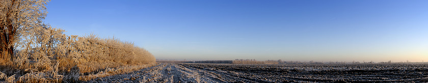 Image showing Winter Orchard