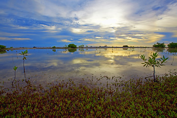 Image showing Bonaire lake