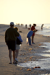 Image showing Early morning avid shell hunters