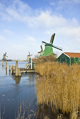 Image showing Four windmills in the Zaanse Schans