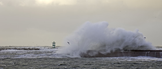 Image showing Crashing Wave