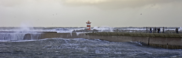 Image showing Watching the storm