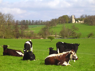 Image showing Rural England