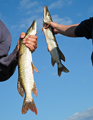 Image showing fishing luck