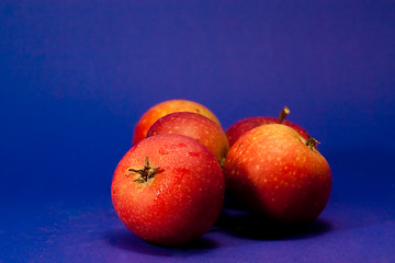 Image showing Christmas apples