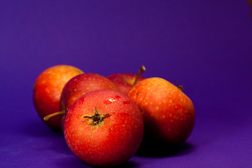 Image showing Red apples