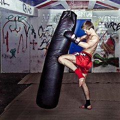 Image showing Knee kick