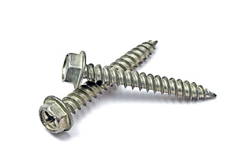 Image showing Two screws isolated on white 