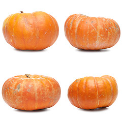 Image showing Four fresh pumpkin