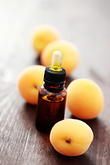 Image showing apricot essential oil