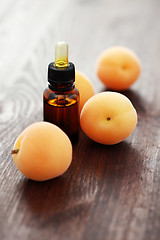 Image showing apricot essential oil