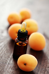Image showing apricot essential oil