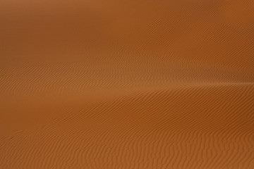 Image showing Sahara Desert