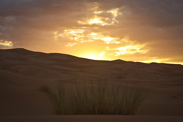 Image showing Sunrise in Sahara Desert