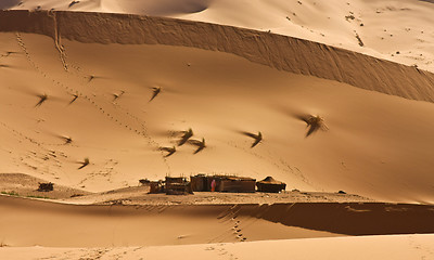 Image showing Nomad camp in Sahara