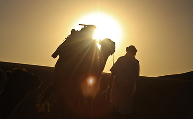 Image showing Safari in Sahara