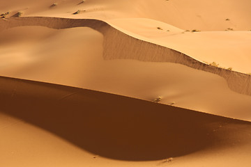 Image showing Sahara Dunes