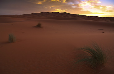 Image showing Sunrise in Desert