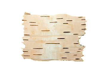 Image showing The cleared birch bark