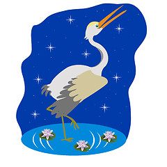 Image showing Stork on water in the night