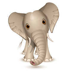 Image showing Little elephant