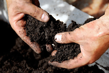 Image showing Black soil