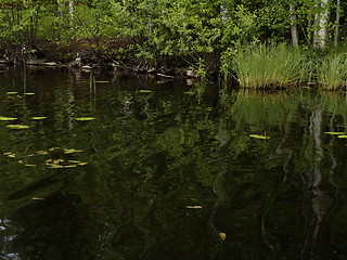 Image showing Pond bench