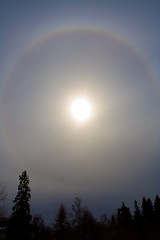 Image showing Sun Halo