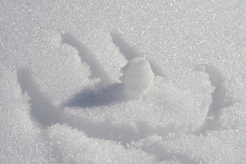 Image showing Snow Smile