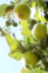 Image showing abstract apple