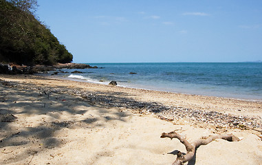 Image showing Stick on the beach