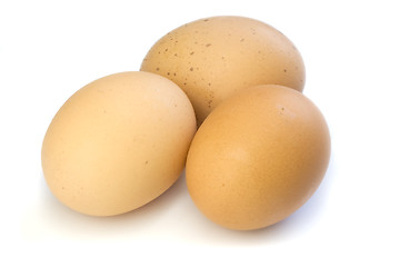 Image showing brown eggs