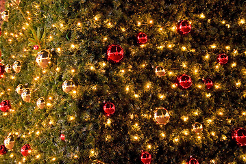 Image showing christmas tree details