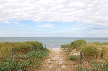 Image showing strand