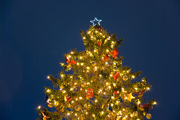 Image showing christmas tree night