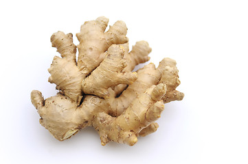 Image showing Ginger