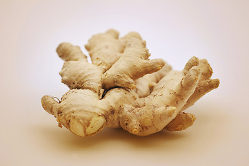 Image showing Ginger