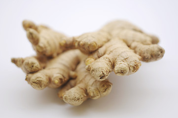 Image showing Ginger