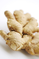 Image showing Ginger