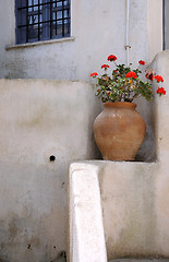 Image showing Flowers in Large Ceramic Vase