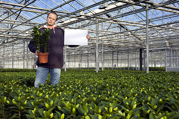 Image showing Blank sign in a glasshouse