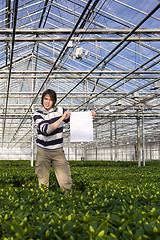 Image showing Blank sign in a glasshouse