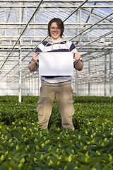 Image showing Blank sign in a glasshouse