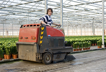 Image showing Cleaning a glasshouse