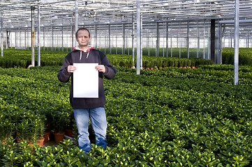 Image showing Blank sign in a glasshouse