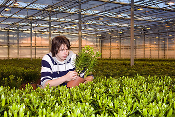 Image showing Checking plants