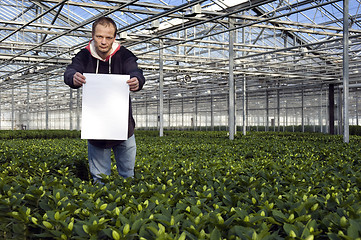 Image showing Blank sign in a glasshouse