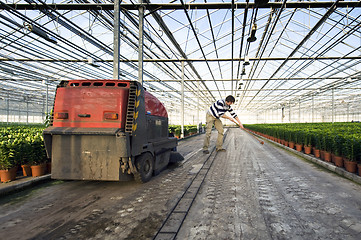 Image showing Cleaning a glasshouse