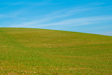 Image showing Nice autumn field with clear horizont and blue sky